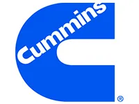 Cummins India - Technomech Client